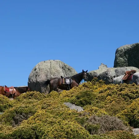 Chalet Casa Do Caminho Do Monte