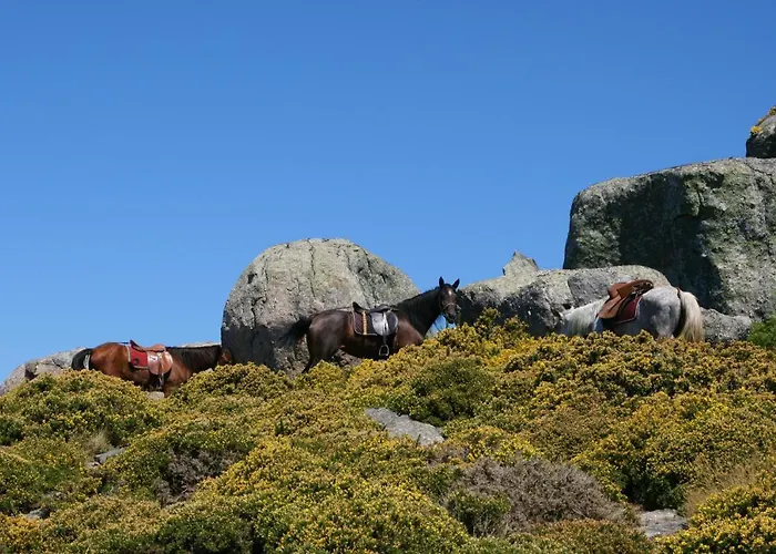 Alpehytte Casa Do Caminho Do Monte