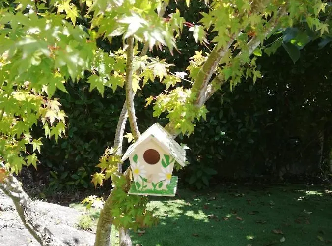 Casa Do Caminho Do Monte